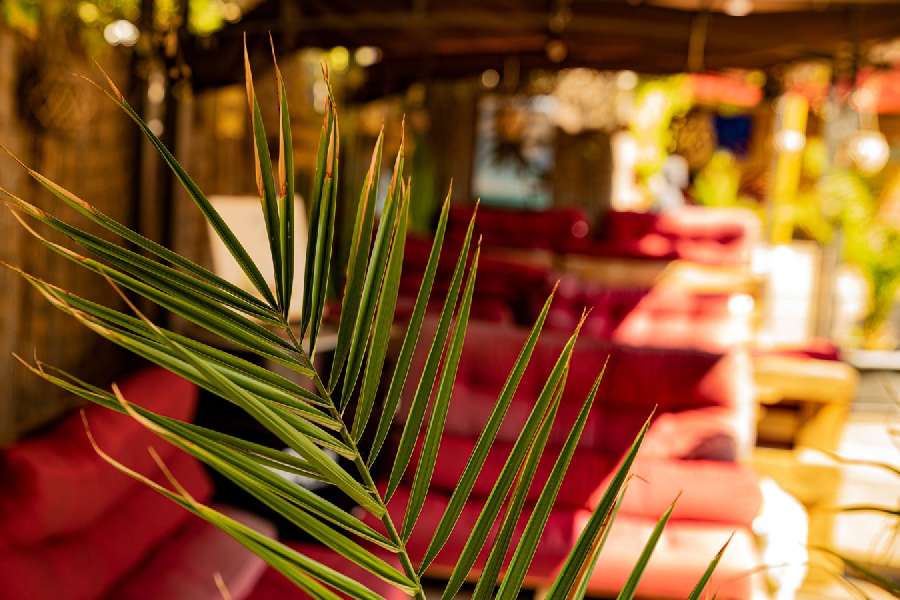 Charlie's Beach Die urbane Beach Bar im Herzen Berlins